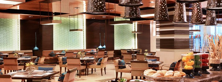 1195/Piccadily Hotel - New Delhi 09.jpg